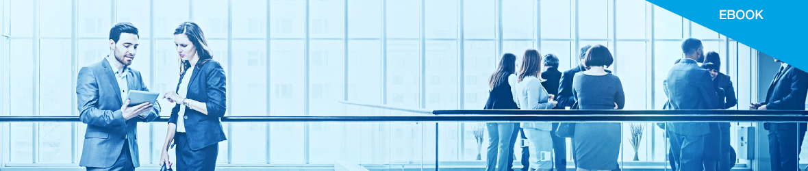 The Practitioner’s Guide to B2B eCommerce